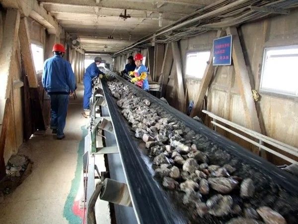 탄광업 130 - 320 T/H를 위한 방열 편평한 고무 벨트 컨베이어